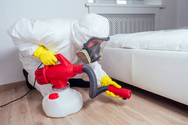 Best Pest Removal Services  in Alamosa, CO