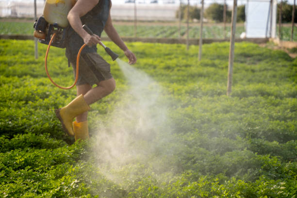 Best Best Pest Control Companies  in Alamosa, CO
