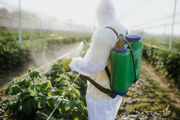 Professional Pest Control in Alamosa, CO